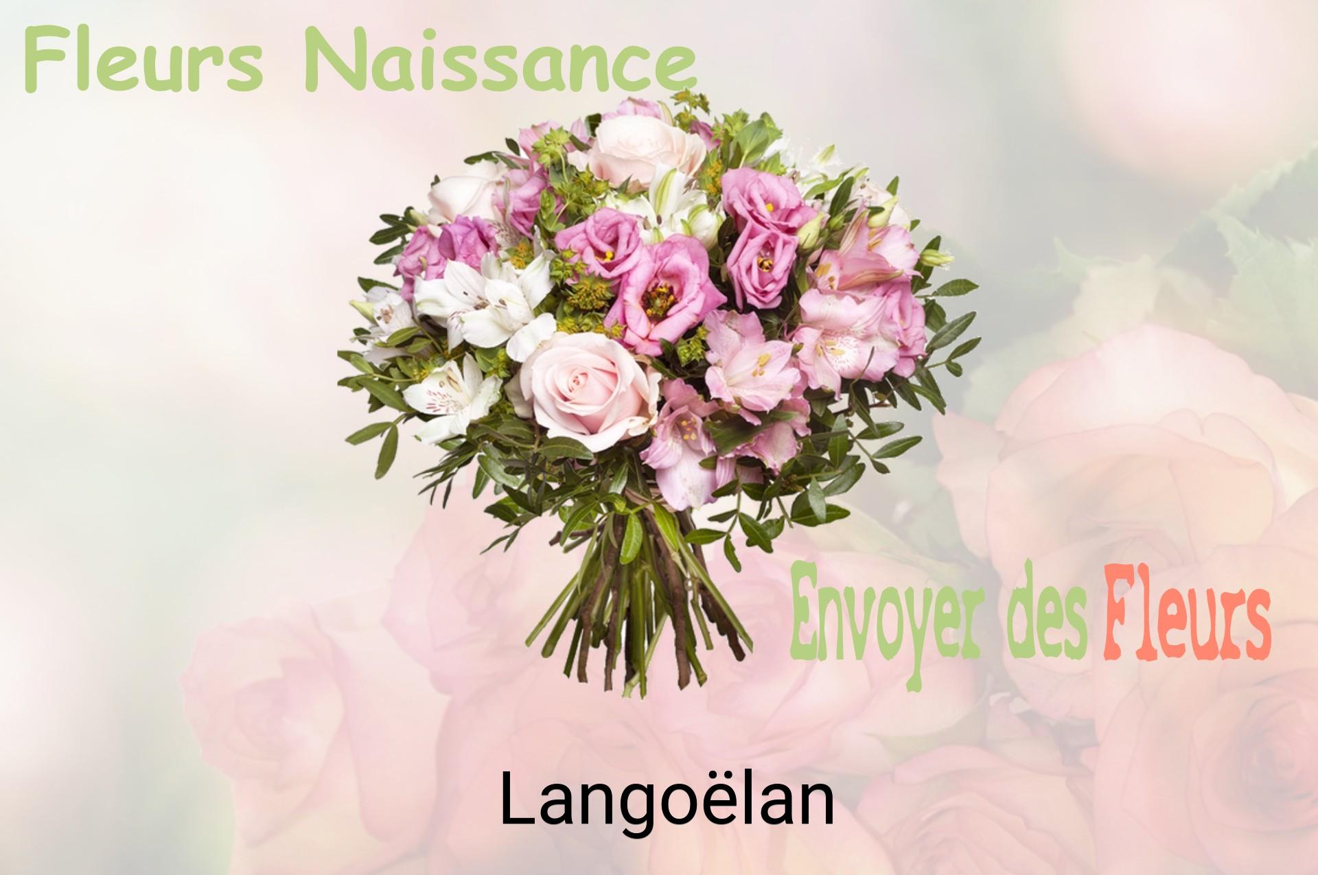 Bouquet de fleurs de naissance livré à Langoëlan